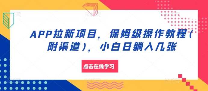 APP拉新项目，保姆级操作教程(附渠道)，小白日躺入几张【揭秘】_菜菜笔记