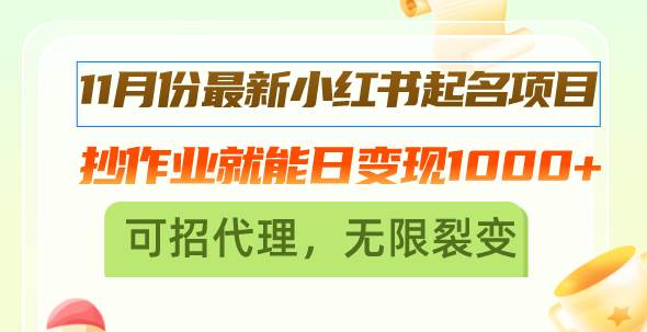 （13256期）11月份最新小红书起名项目，抄作业就能日变现1000+，可招代理，无限裂变_菜菜笔记