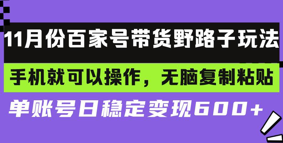 （13281期）百家号带货野路子玩法 手机就可以操作，无脑复制粘贴 单账号日稳定变现…_菜菜笔记