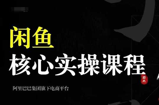 2024闲鱼核心实操课程，从养号、选品、发布、销售，教你做一个出单的闲鱼号_菜菜笔记