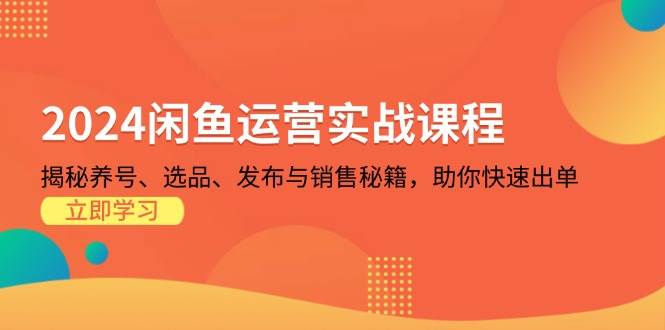 （13290期）2024闲鱼运营实战课程：揭秘养号、选品、发布与销售秘籍，助你快速出单_菜菜笔记