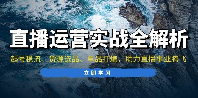 （13294期）直播运营实战全解析：起号稳流、货源选品、单品打爆，助力直播事业腾飞_菜菜笔记