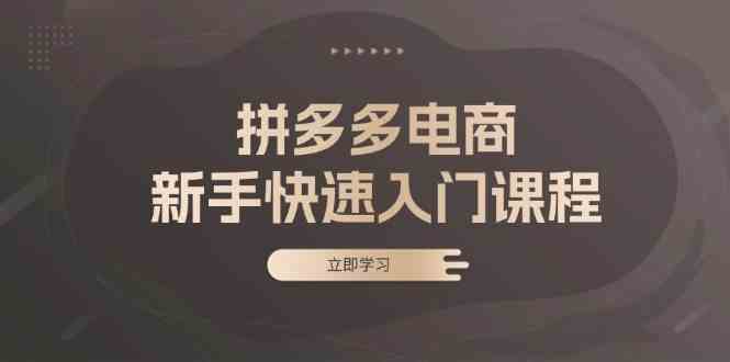 拼多多电商新手快速入门课程：涵盖基础、实战与选款，助力小白轻松上手_菜菜笔记