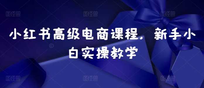 小红书高级电商课程，新手小白实操教学_菜菜笔记