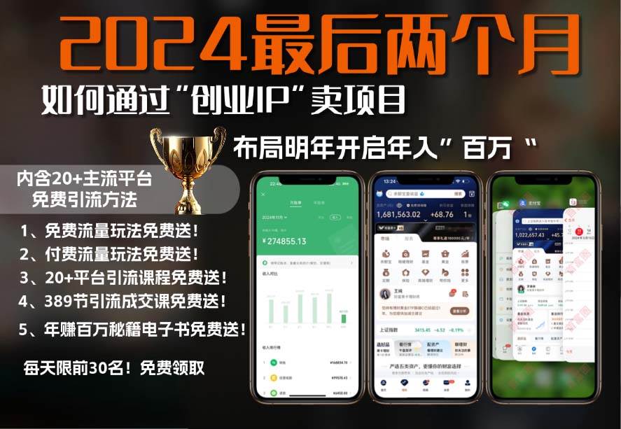（13322期）2024最后两个月如何通过”创业IP“卖项目年入”百万“,创业IP+最强引流…_菜菜笔记