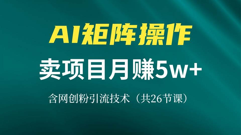 （13335期）网创IP打造课，借助AI卖项目月赚5万+，含引流技术（共26节课）_菜菜笔记