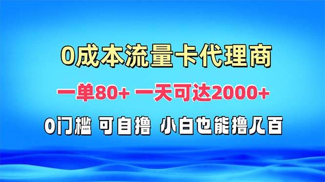 （13391期）免费流量卡代理一单80+ 一天可达2000+_菜菜笔记