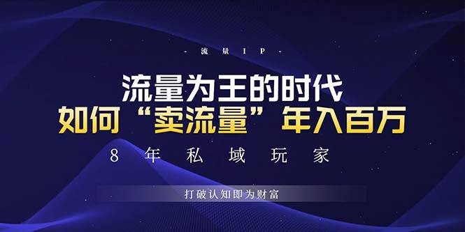 （13433期）未来如何通过“卖流量”年入百万，跨越一切周期绝对蓝海项目_菜菜笔记