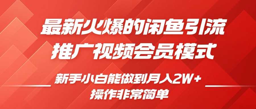 闲鱼引流推广影视会员，0成本就可以操作，新手小白月入过W+【揭秘】_菜菜笔记