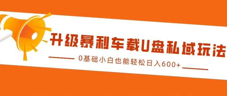 升级暴利车载U盘私域玩法，0基础小白也能轻松日入多张【揭秘】_菜菜笔记