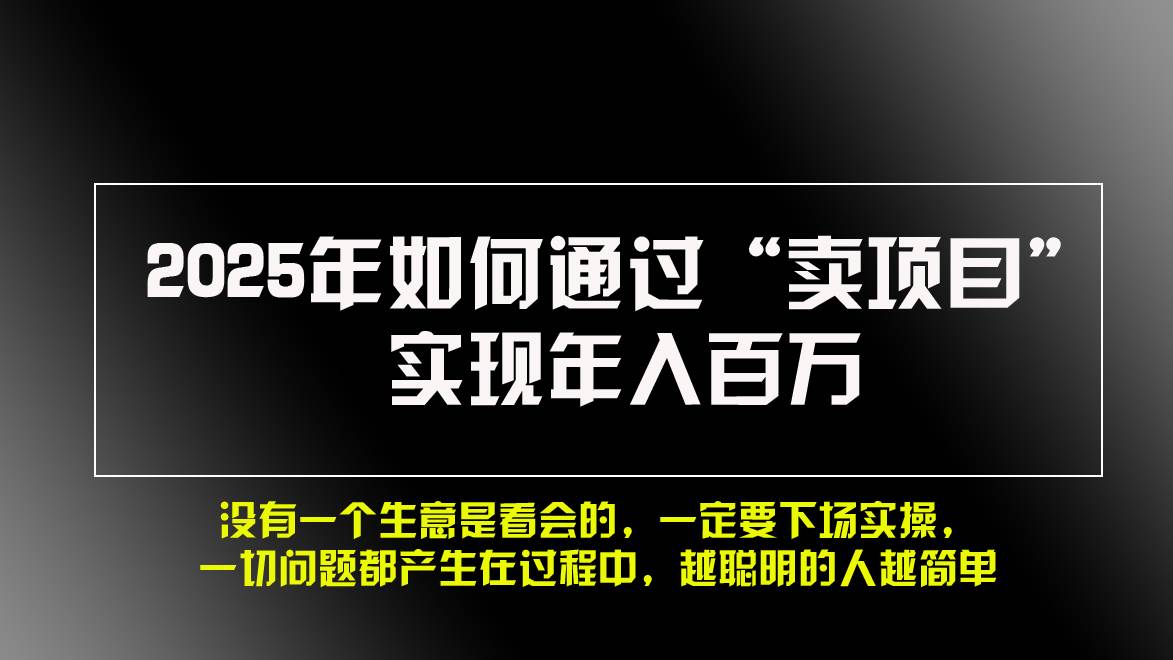 （13468期）2025年如何通过“卖项目”实现年入百万，做网赚必看！！_菜菜笔记