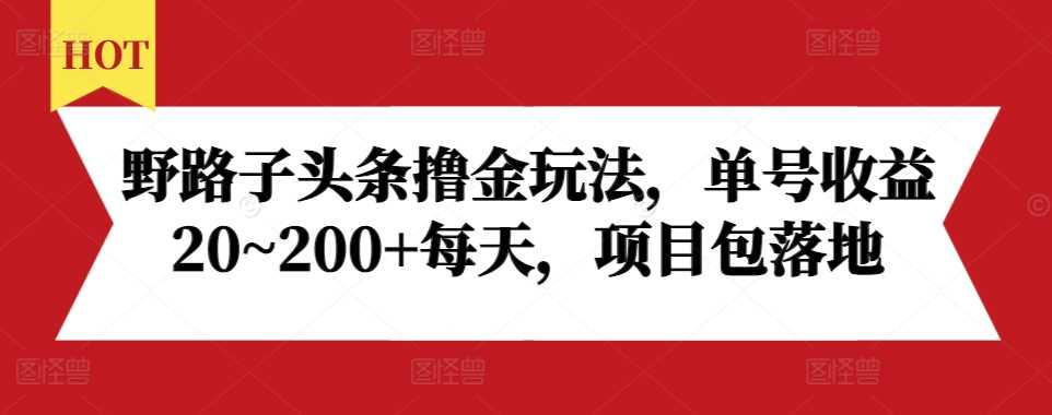 野路子头条撸金玩法，单号收益20~200+每天，项目包落地_菜菜笔记