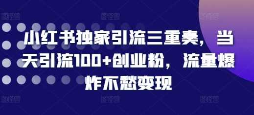 小红书独家引流三重奏，当天引流100+创业粉，流量爆炸不愁变现【揭秘】_菜菜笔记