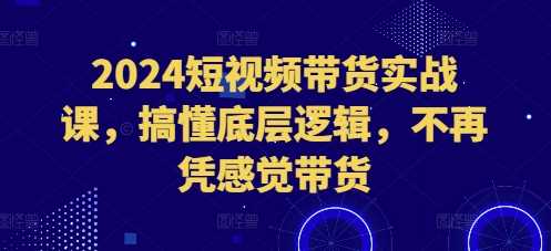 2024短视频带货实战课，搞懂底层逻辑，不再凭感觉带货_菜菜笔记