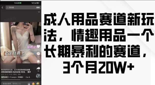 成人用品赛道新玩法，情趣用品一个长期暴利的赛道，3个月收益20个【揭秘】_菜菜笔记