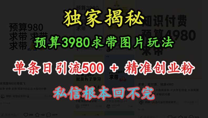 预算3980求带 图片玩法，单条日引流500+精准创业粉，私信根本回不完_菜菜笔记