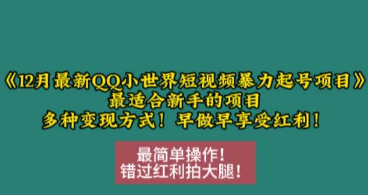 12月最新QQ小世界短视频暴力起号项目，最适合新手的项目，多种变现方式_菜菜笔记
