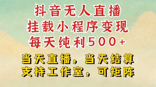 抖音无人直播挂载小程序变现每天纯利500+当天直播，当天结算支持工作室，可矩阵【揭秘】_菜菜笔记