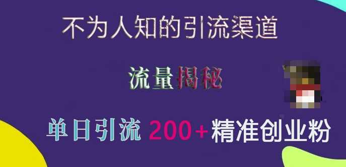 不为人知的引流渠道，流量揭秘，实测单日引流200+精准创业粉【揭秘】_菜菜笔记