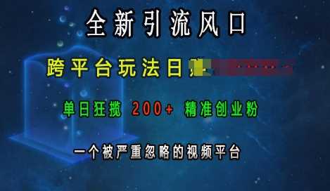 全新引流风口，跨平台玩法日入上k，单日狂揽200+精准创业粉，一个被严重忽略的视频平台_菜菜笔记