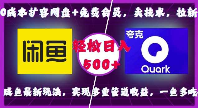 0成本扩容网盘+免费会员，卖技术，拉新，咸鱼最新玩法，实现多重管道收益，一鱼多吃，轻松日入500+_菜菜笔记