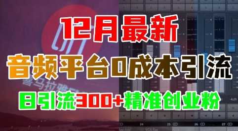 12月最新：音频平台0成本引流，日引流300+精准创业粉_菜菜笔记