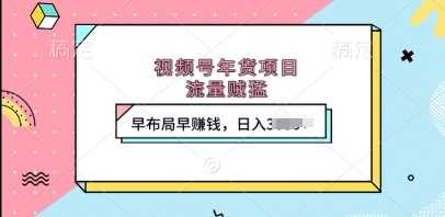 视频号年货项目，流量贼猛，早布局早挣钱，日入上k【揭秘】_菜菜笔记