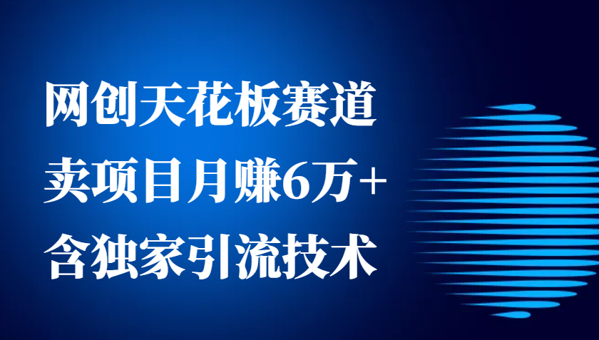 网创天花板赛道，卖项目月赚6万+，含独家引流技术（共26节课）_菜菜笔记