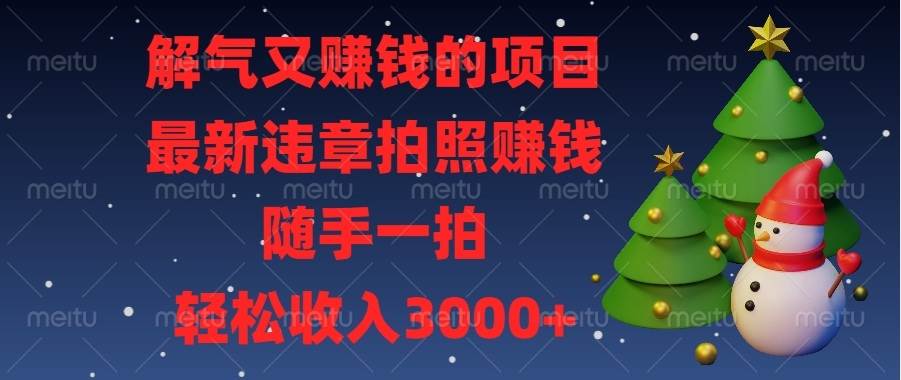 （13686期）解气又赚钱的项目，最新违章拍照赚钱，随手一拍，轻松收入3000+_菜菜笔记