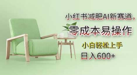 小红书减肥AI新赛道，零成本易操作，日入多张，小白轻松上手【揭秘】_菜菜笔记
