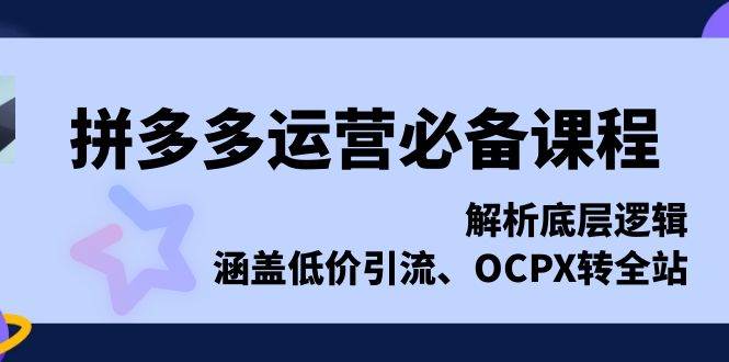 （13700期）拼多多运营必备课程，解析底层逻辑，涵盖低价引流、OCPX转全站_菜菜笔记