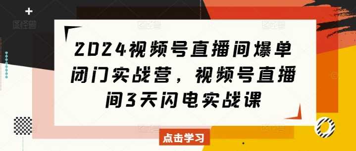2024视频号直播间爆单闭门实战营，视频号直播间3天闪电实战课_菜菜笔记