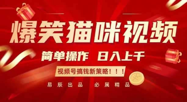爆笑猫咪视频：简单操作，日入过K，视频号搞钱新策略【揭秘】_菜菜笔记
