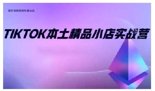 TikTok本土精品小店出海实战营，从入门到高阶，不止0-1!_菜菜笔记