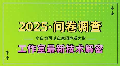 2025问卷调查最新工作室技术解密：一个人在家也可以闷声发大财，小白一天2张，可矩阵放大【揭秘】_菜菜笔记