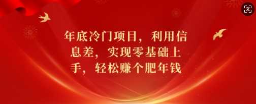 年底冷门项目，利用信息差，实现零基础上手，轻松赚个肥年钱【揭秘】_菜菜笔记