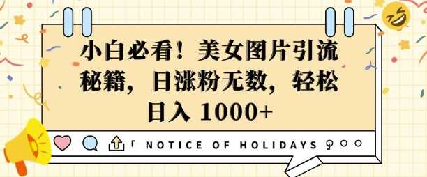小白必看，美女图片引流秘籍，日涨粉无数，轻松日入几张【揭秘】_菜菜笔记