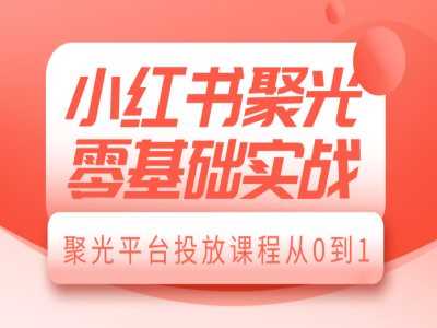 小红书聚光零基础实战，聚光平台投放课程从0到1_菜菜笔记