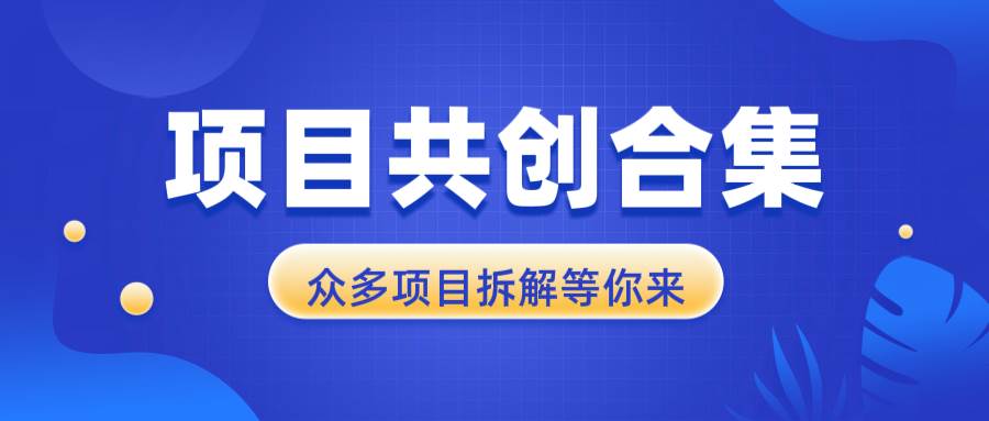 （13778期）项目共创合集，从0-1全过程拆解，让你迅速找到适合自已的项目_菜菜笔记