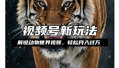 利用动物世界解说视频，赚分成计划收益，轻松月入过W，操作简单【揭秘】_菜菜笔记