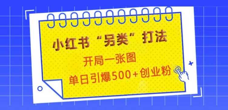 小红书“另类”打法，开局一张图，单日引爆500+精准创业粉【揭秘】_菜菜笔记