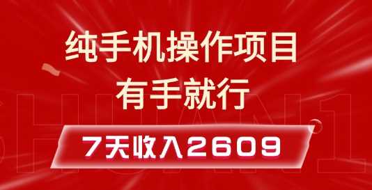纯手机操作的小项目，有手就能做，7天收入2609+实操教程【揭秘】_菜菜笔记