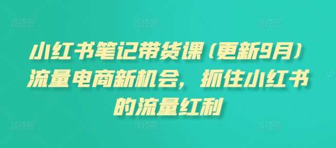 小红书笔记带货课(更新12月)流量电商新机会，抓住小红书的流量红利_菜菜笔记