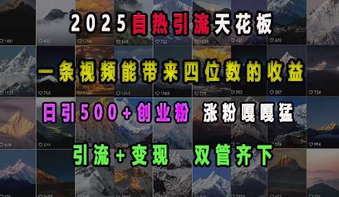 2025自热引流天花板，一条视频能带来四位数的收益，引流+变现双管齐下，日引500+创业粉，涨粉嘎嘎猛_菜菜笔记