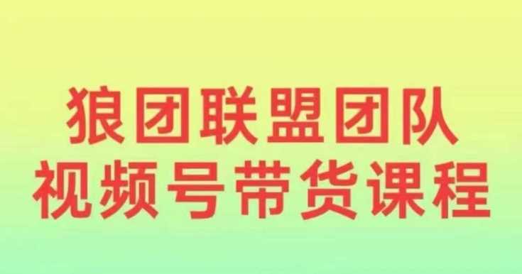 狼团联盟2024视频号带货，0基础小白快速入局视频号_菜菜笔记
