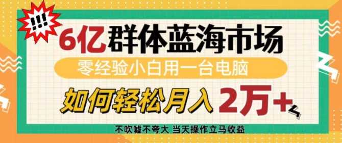 6亿群体蓝海市场，零经验小白用一台电脑，如何轻松月入过w【揭秘】_菜菜笔记