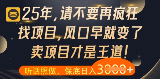 什么？25年你还在疯狂找项目做，醒醒吧，看完这些你全都懂了【揭秘】_菜菜笔记