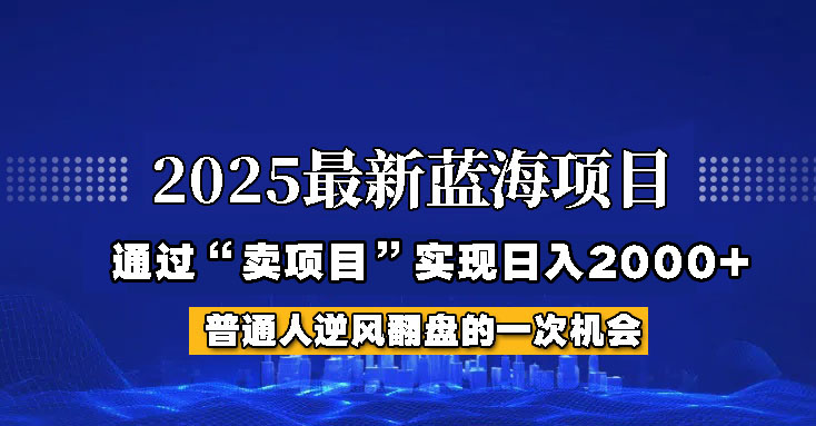 2025年蓝海项目，如何通过“网创项目”日入2000+_菜菜笔记