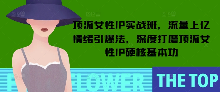 顶流女性IP实战班，流量上亿情绪引爆法，深度打磨顶流女性IP硬核基本功_菜菜笔记