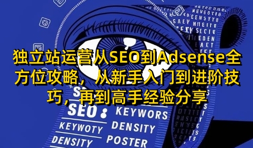 独立站运营从SEO到Adsense全方位攻略，从新手入门到进阶技巧，再到高手经验分享_菜菜笔记